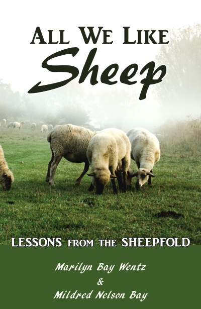 All-We-Like-Sheep